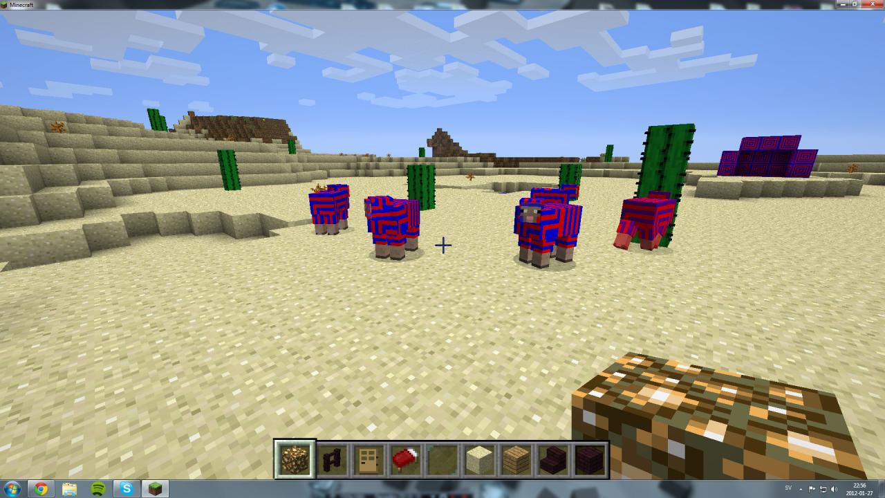 Sheep